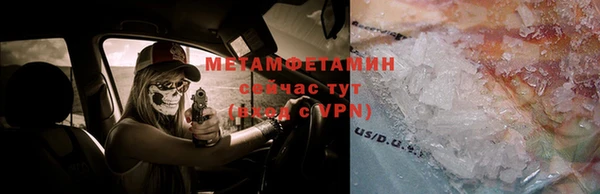гидра Аркадак