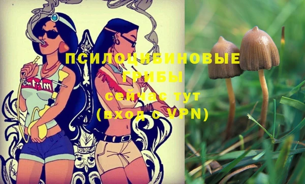 ГАЛЛЮЦИНОГЕННЫЕ ГРИБЫ Армянск