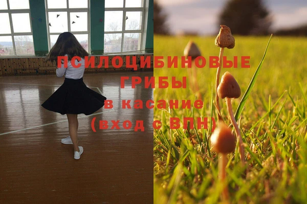 ГАЛЛЮЦИНОГЕННЫЕ ГРИБЫ Армянск
