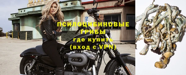гидра Аркадак