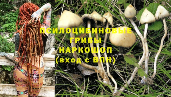 шишки Алексеевка