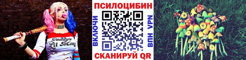Купить  Малоярославец  Псилоцибиновые грибы MAGIC MUSHROOMS 
